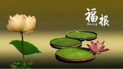 随缘人生