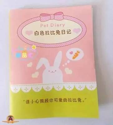 观察日记小兔子