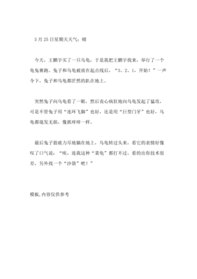 观察日记小兔子