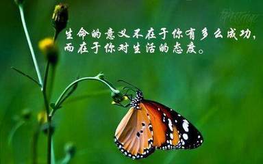 感觉人生没有意义怎么办