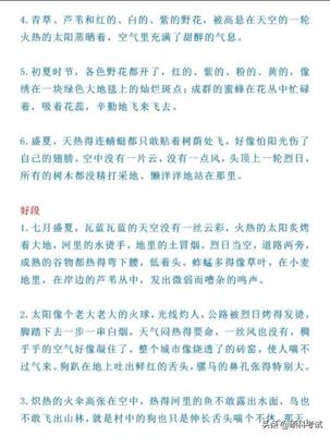 四年级好句大全