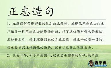 追逐造句