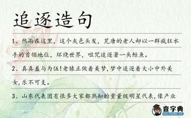追逐造句