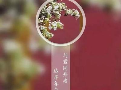 人生自有诗意下半句