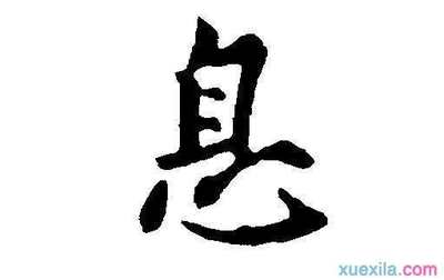 息开头成语