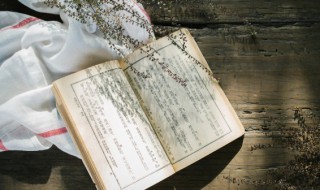 形容读书勤奋的成语