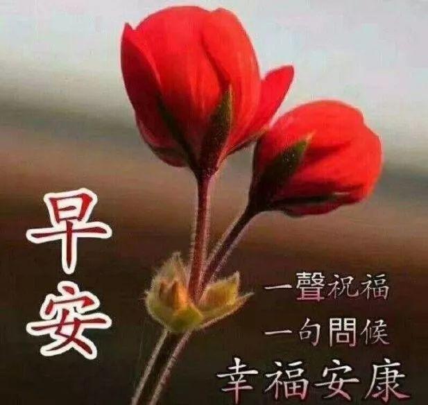 下午祝福语