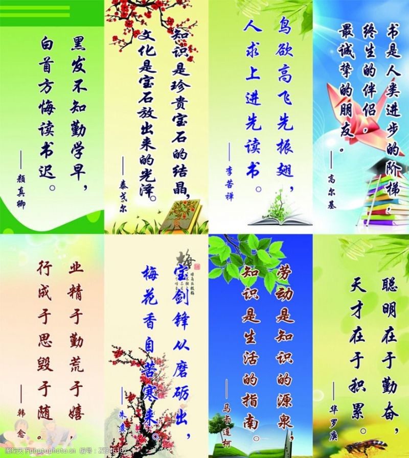关于比的名言