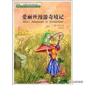 一个小女孩的日记