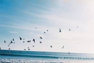 人生在世谁无过