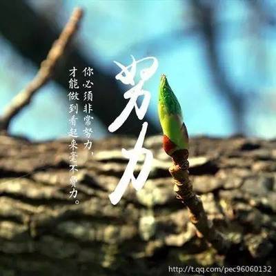 人生在世谁无过