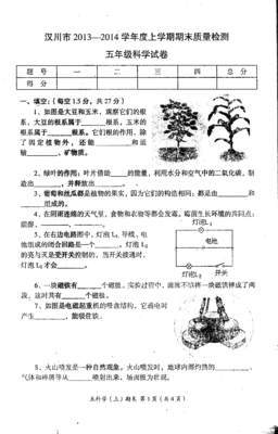 五年级上册人教版科学