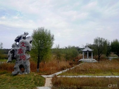 我的家乡砀山