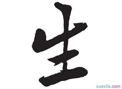 四字开头成语