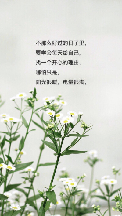 开心励志图片