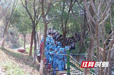 拓展飞夺泸定桥的心得