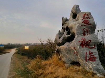 我的家乡砀山