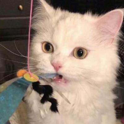 丹字开头的成语