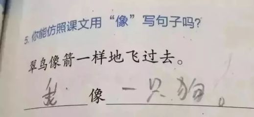 什么什么也什么造句