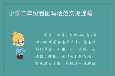 二年级看图写话捉迷藏