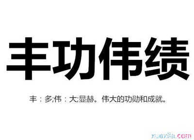 丰功伟绩造句