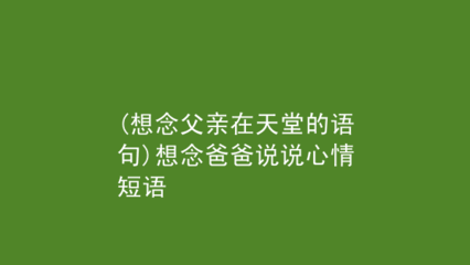 失去了父亲的说说心情