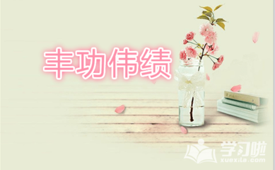 丰功伟绩造句