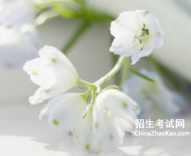 人情与规则议论文800字