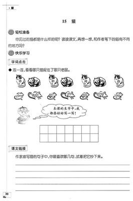 猫教学反思