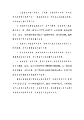 猫教学反思