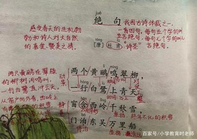 春天的诗句二年级