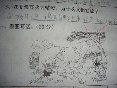 二年级写话喜欢的动物