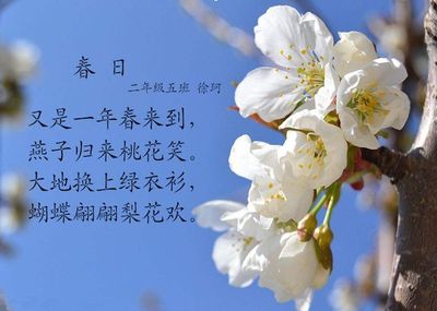 春天的诗句二年级