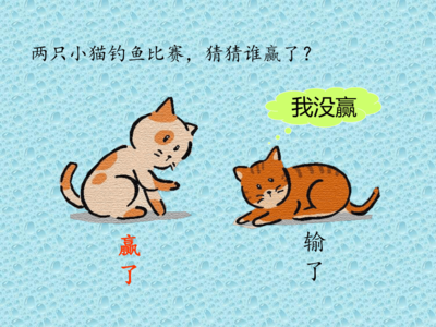 猫教学反思