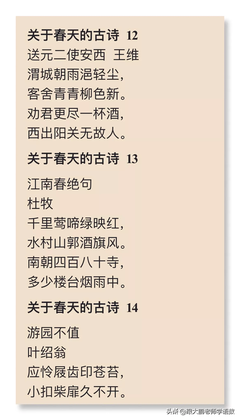 春天的诗句二年级