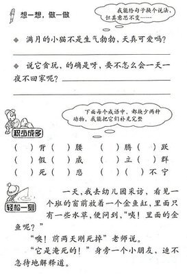 猫教学反思