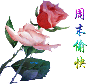 开心快乐每一天祝福语