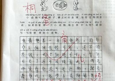 二年级写话喜欢的动物