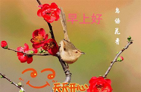开心快乐每一天祝福语