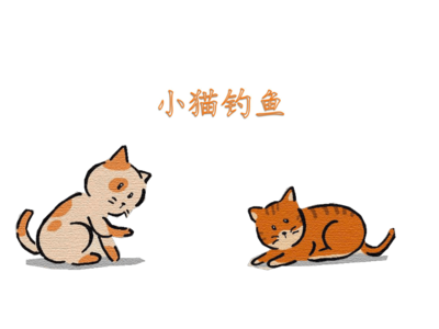 猫教学反思