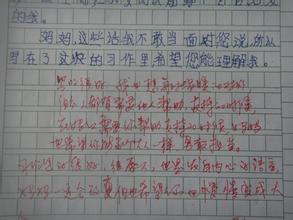 一篇日记250字