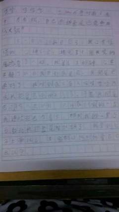 一篇日记250字