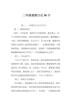 日记二年级100字