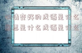 心情什么什么成语
