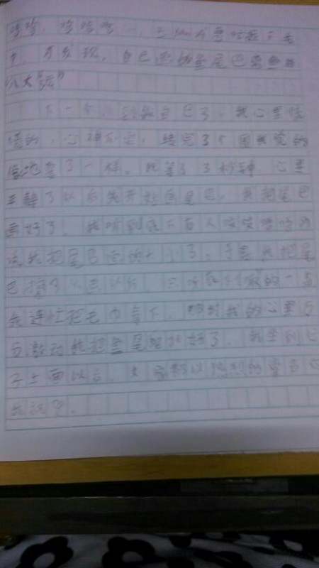 一篇日记250字
