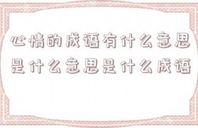 心情什么什么成语