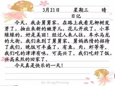 日记二年级100字