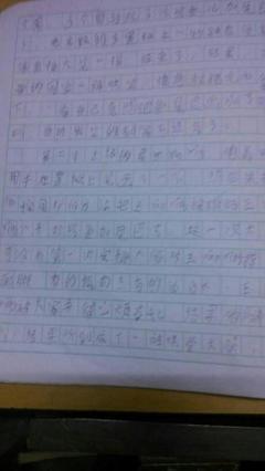 一篇日记250字