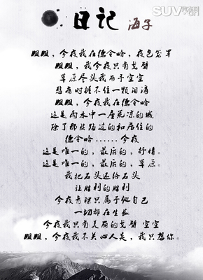 海子的诗日记