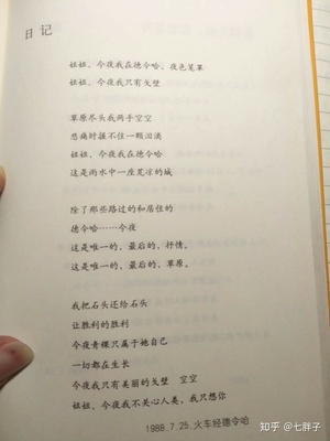 海子的诗日记